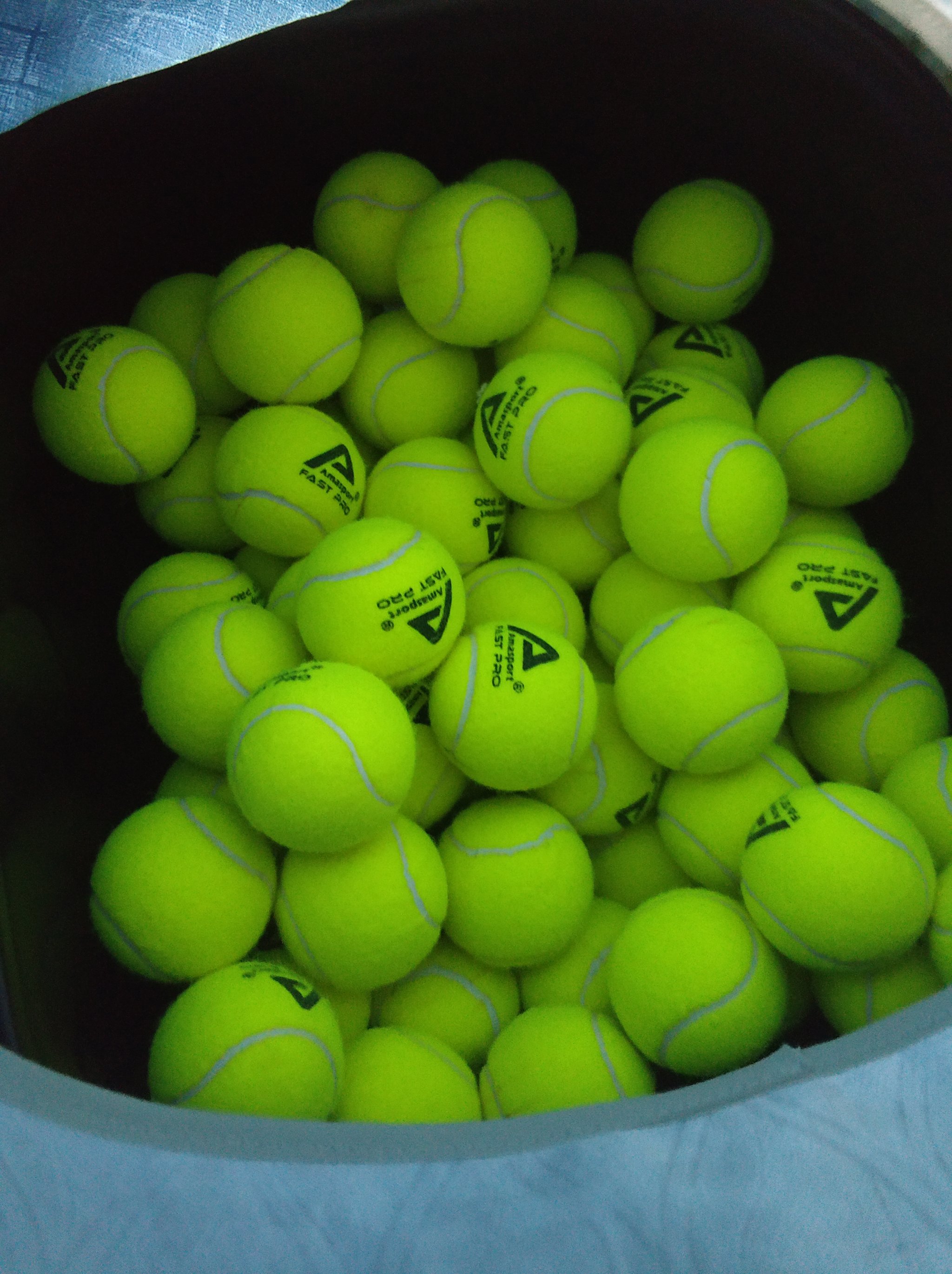 是一个不小 是一个不小